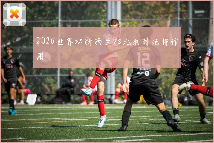 2026世界杯新西兰vs比利时老将作用