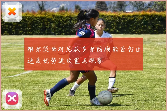 维尔茨面对厄瓜多尔防线能否打出速度优势进攻重点观察