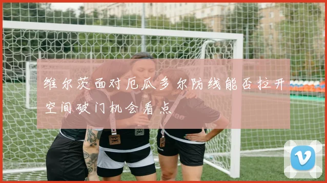 维尔茨面对厄瓜多尔防线能否拉开空间破门机会看点