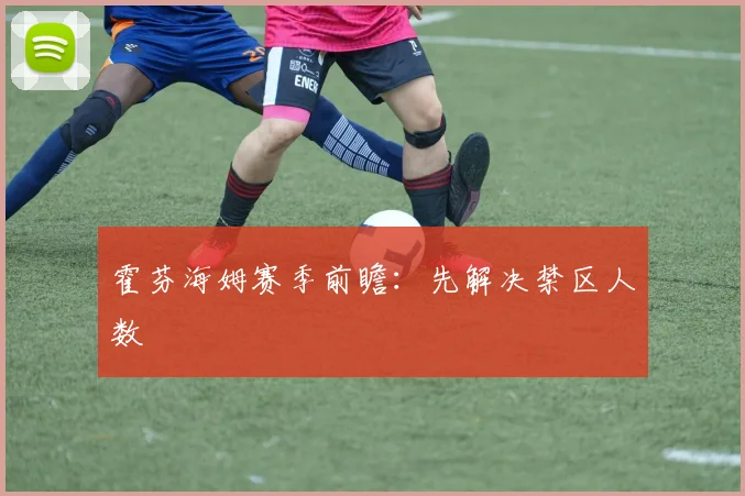 霍芬海姆赛季前瞻：先解决禁区人数
