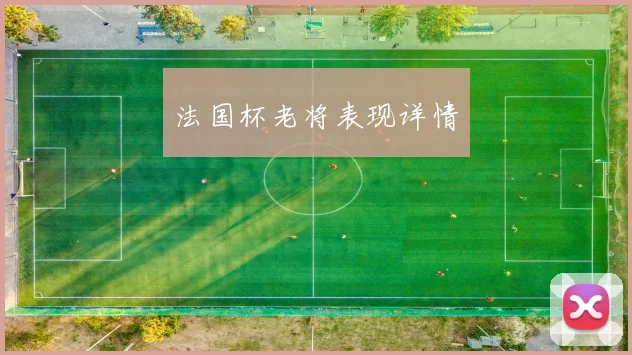 法国杯老将表现详情
