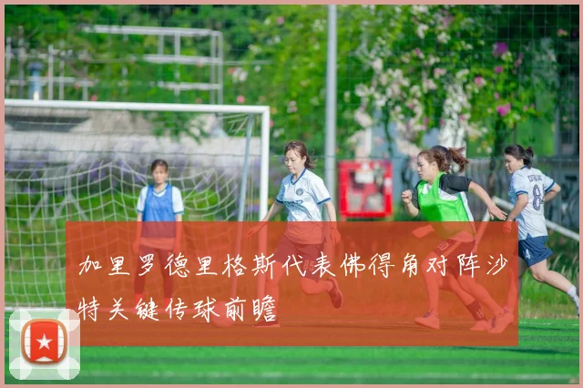 加里罗德里格斯代表佛得角对阵沙特关键传球前瞻