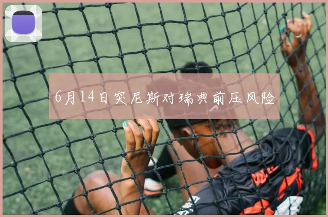 6月14日突尼斯对瑞典前压风险
