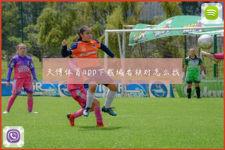 天傅体育app下载域名核对怎么找